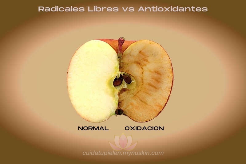 radicales-libres-y-antioxidantes